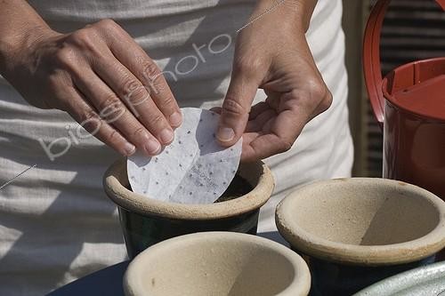 Biosphoto | 289242 | Pose du rond de graines presemé de Basilic en juin | &copy; NouN / Biosphoto