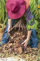 Biosphoto | 2434673 | Pose d'une protection sur une souche gélive, avant l'arrivée de l'hiver | &copy; Jean-Michel Groult / Biosphoto