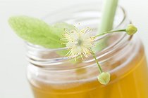 Biosphoto | 1251541 | Pot of linden honey and linden flower | &copy; Frédérique Bidault / Biosphoto