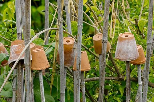 Biosphoto | 2140191 | Pots de fleur en terre cuite sur tuteur en bambou, Décoration de jardin | &copy; Alain Kubacsi / Biosphoto