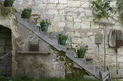 Biosphoto | 2001620 | Pots de fleurs sur un escalier en pierre | &copy; Patricia Méaille / Biosphoto
