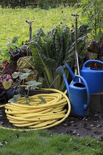 Biosphoto | 987465 | Pour arroser dans un jardin en automne France | &copy; Gilles Le Scanff & Joëlle-Caroline Mayer / Biosphoto