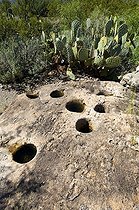 Biosphoto | 1250069 | Precolombian grinding hole Oliver Lee Memorial SP New Mexico | &copy; Daniel Heuclin / Biosphoto