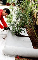 Biosphoto | 2456027 | Préparation d'un petit jardin avec film de protection pour une plantation sans entretien | &copy; Lamontagne / Biosphoto