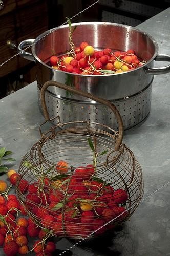 Biosphoto | 1635929 | Préparation d'une confiture d'Arbouses France ; Concepteur : Pierre-Alexandre RISSER  | &copy; Alexandre Petzold / Biosphoto