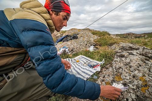 Biosphoto | 2606307 | Preparing the trout marking workshop. Irish Bay, Kerguelen Archipelago. | &copy; Armand Patoir / Biosphoto