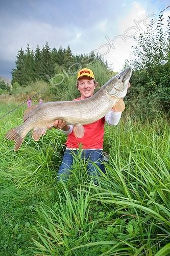 Biosphoto | 2033627 | Presentation of a Pike caught lure - Vosges France  ; Pike 1.17 m | &copy; Bruno Mathieu / Biosphoto