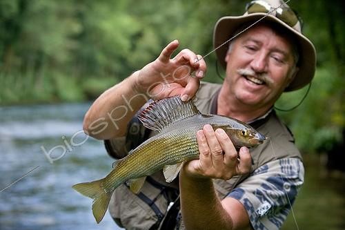 Biosphoto | 1254303 | Presentation of an European Grayling High Loue River France | &copy; Bruno Mathieu / Biosphoto