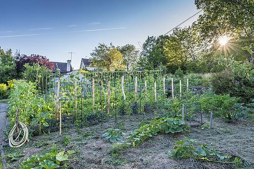Biosphoto | 2452926 | Private organic vegetable garden in summer, Vosges, France | &copy; Yann Avril / Biosphoto
