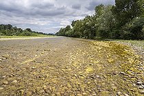 Biosphoto | 2588065 | Prolifération d'algues vertes dans la rivière Drôme proche de l'embouchure causée par une situation de stress hydrique malgré un printemps pluvieux, rivière avec un faible débit dû à la sécheresse généralisée de la région très affecté par le changement climatique à Loriol sur Drome, France. | &copy; Antoine Boureau / Biosphoto