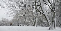 Biosphoto | 2419906 | Promeneuse dans la forêt vosgienne enneigée (pinède-hêtraie-sapinière), Parc naturel régional des Vosges du Nord, France | &copy; Michel Rauch / Biosphoto