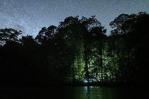 Biosphoto | 2583239 | Prospection scientifique nocturne en forêt amazonienne. Une lueur à travers la dense forêt, des chercheurs travaillent de nuit à le recherche des amphibiens - Régina, Guyane France | &copy; Vincent Premel / Biosphoto