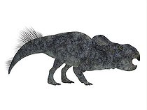 Biosphoto | 2473035 | Protoceratops dinosaur on white background. Protoceratops was a herbivorous ceratopsian dinosaur that lived in Mongolia during the Cretaceous Period. | &copy; Corey Ford / Stocktrek Images / Biosphoto