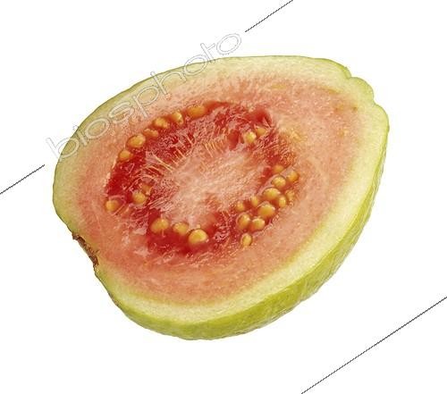 Biosphoto | 939390 | Psidium guajava | &copy; Carol Sharp / Flowerphotos / Biosphoto