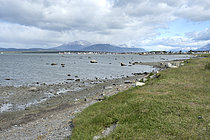 Biosphoto | 2608951 | Puerto Natales on the Ultima Esperanza Fjord, Patagonia, Magallanes Region and Chilean Antarctica, Chile | &copy; Jean-Claude Malausa / Biosphoto
