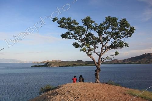 Biosphoto | 1159580 | Pulau Messah facing Komodo NP Sea of  Flores Indonesia | &copy; Antoine Boureau / Biosphoto
