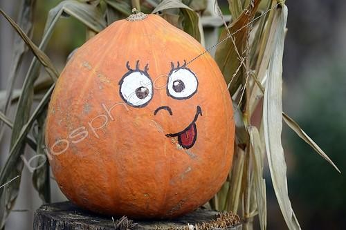 Biosphoto | 1954605 | Pumpkin decorated for Halloween - France | &copy; Dominique Delfino / Biosphoto