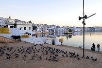 Biosphoto | 1605063 | Pushkar on the holy Pushkar Lake or Pushkar Sarovar, Rajasthan, India, Asia | © Olaf Krueger / imageBROKER / Biosphoto