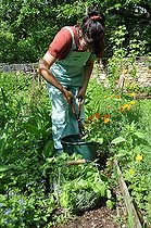 Biosphoto | 2546812 | Radish tops plant extract, preparation | &copy; Serge Lapouge / Biosphoto