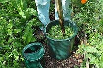 Biosphoto | 2546817 | Radish tops plant extract, preparation | &copy; Serge Lapouge / Biosphoto