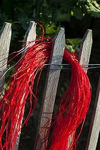 Biosphoto | 1367934 | Raffia on a fence in a kitchen garden | &copy; Philippe Giraud / Biosphoto