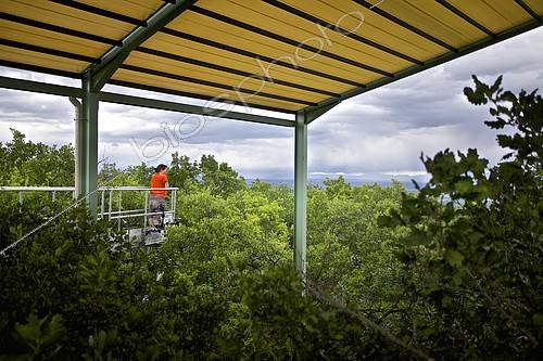 Biosphoto | 2072278 | Rain exclusion system in pubescent oak forest. Mediterranean ecosystems in the face of climate change. O3HP experimental platform, Alpes de Haute-Provence, France | &copy; Thibaut Vergoz / Biosphoto