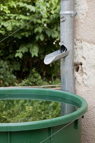 Biosphoto | 1646384 | Rain water butt in a garden | &copy; NouN / Biosphoto