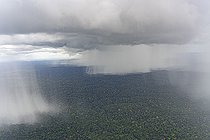 Biosphoto | 2583255 | Rainstorm over the Amazon rainforest. A shot taken from the air of a rather inclement weather forecast. In the tropics, thunderstorms and heavy showers are a regular occurrence, and it's not unusual to see the curtains of rain that give life to the diversity of flora and fauna in the jungles of South America - French Guiana. | &copy; Vincent Premel / Biosphoto