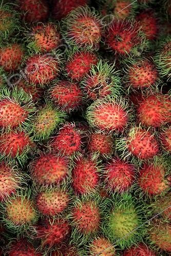 Biosphoto | 1190451 | Ramboutans sur un étal Kuala Lumpur Malaisie | &copy; Antoine Boureau / Biosphoto