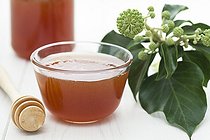 Biosphoto | 1251198 | Ramekin of ivy honey and ivy | &copy; Frédérique Bidault / Biosphoto