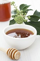 Biosphoto | 1251199 | Ramekin of ivy honey and ivy | &copy; Frédérique Bidault / Biosphoto