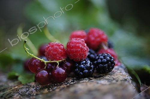 Biosphoto | 952571 | Raspberries and Blackberries Gooseberries on a stone Granite | &copy; Régis Domergue / Biosphoto