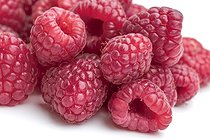 Biosphoto | 2597989 | Raspberry 'Pink Star' | &copy; Marie Aymerez / Biosphoto