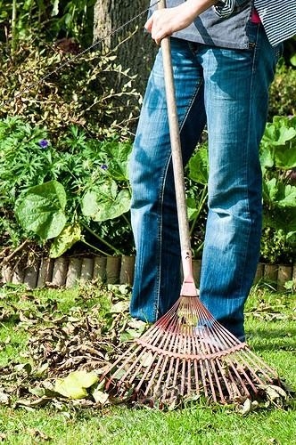 Biosphoto | 2012331 | Ratissage de feuilles mortes à l'aide d'un balai à gazon | &copy; Yann Avril / Biosphoto