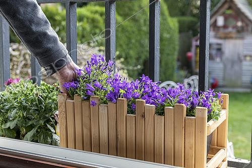 Biosphoto | 2466265 | Réalisation d'une jardinière avec du bois de récupération | &copy; Yann Avril / Biosphoto