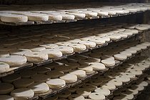 Biosphoto | 2561134 | Reblochon on wooden boards in the cellar of a family farm producing farmhouse reblochon, La Clusaz, Haute-Savoie, France. | &copy; Antoine Boureau / Biosphoto