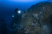 Biosphoto | 2609394 | Rebreather diving in the mesophotic zone, Mayotte | &copy; Gabriel Barathieu / Biosphoto