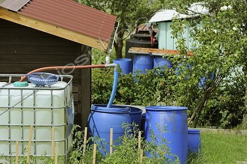 Biosphoto | 1121683 | Recovery of rainwater in allotments Belfort France | &copy; Denis Bringard / Biosphoto