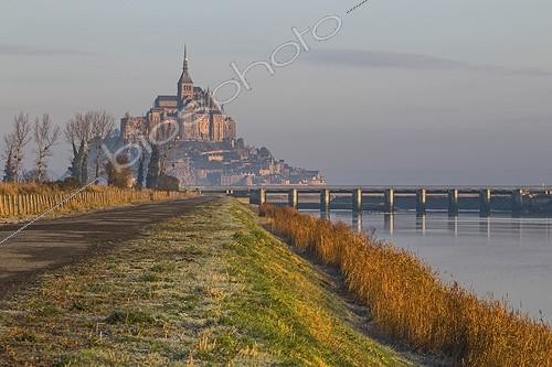Biosphoto | 2036951 | Reedbed Couesnon - Mont Saint-Michel France ; Auto regeneration of reed bed after workrestoring the maritime character of Mont Saint-Michel | &copy; Vincent M. / Biosphoto
