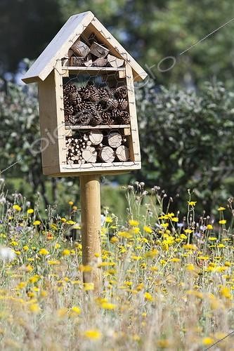 Biosphoto | 1795577 | Refuge for insects in a meadow France  | &copy; Frédérique Bidault / Biosphoto