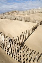 Biosphoto | 529754 | Regeneration of coastal dunes by lattice fences France | &copy; David Tatin / Biosphoto