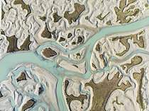 Biosphoto | 2609305 | Réseau de canaux et de ruisseaux à marée basse. Dans les marais de la réserve naturelle de Bahía de Cádiz. Vue aérienne. Prise de vue par drone. Province de Cadix, Andalousie, Espagne. | &copy; Thomas Dressler / Biosphoto