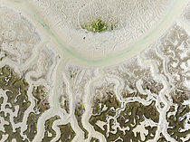Biosphoto | 2609302 | Réseau de canaux et de ruisseaux secs à marée basse. Dans les marais de la réserve naturelle de Bahía de Cádiz. Vue aérienne. Prise de vue par drone. Province de Cadix, Andalousie, Espagne. | &copy; Thomas Dressler / Biosphoto