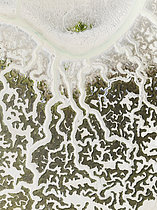 Biosphoto | 2609303 | Réseau de canaux et de ruisseaux secs à marée basse. Dans les marais de la réserve naturelle de Bahía de Cádiz. Vue aérienne. Prise de vue par drone. Province de Cadix, Andalousie, Espagne. | &copy; Thomas Dressler / Biosphoto