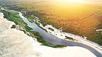 Biosphoto | 2588286 | Réserve naturelle du courant du Huchet et forêt domaniale des Dunes-du-Sud, plage de Moliets, Landes, Nouvelle Aquitaine, France | &copy; Christophe Perelle / Biosphoto