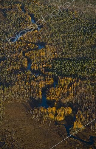Biosphoto | 724965 | River flowing through the boreal forest in Lapland Finland  | &copy; Juan-Carlos Muñoz / Biosphoto