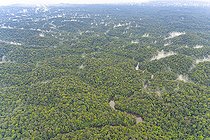 Biosphoto | 2583256 | River in the Amazon rainforest. Shot from the air, after the rain, a few evapotranspiration clouds float over this immense, dense forest as far as the eye can see - French Guiana | &copy; Vincent Premel / Biosphoto
