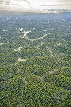 Biosphoto | 2583257 | River in the Amazon rainforest. Shot from the air, after the rain, a few evapotranspiration clouds float over this immense, dense forest as far as the eye can see - French Guiana | &copy; Vincent Premel / Biosphoto