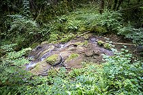 Biosphoto | 2588045 | Rivière du Bief de la Fouge le long du chemin de randonnée menant à la cascade de la Fouge dans le Bugey à Cerdon, France. | &copy; Antoine Boureau / Biosphoto
