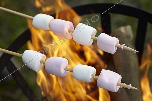 Biosphoto | 1633043 | Roasting marshmallows | &copy; Visions Botanical / Visions Pictures / Biosphoto